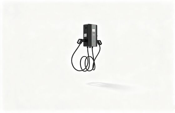 Un bon prix. Chargeur de véhicule électrique à courant alternatif de 7kW. en ligne